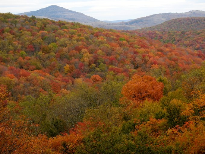 Laurel Fork Overlook, Monongahela NF, WV