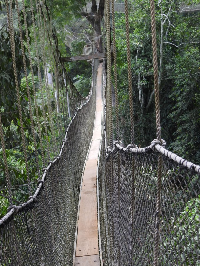 Canopy Walkway, Kakum National Park, Ghana