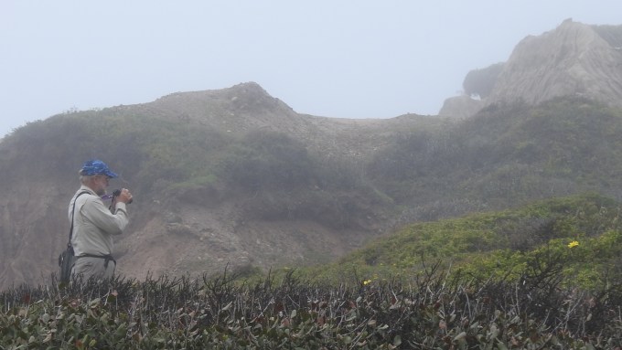Brian looking for Aphanisma, Pt. Loma, San Diego Co, CA