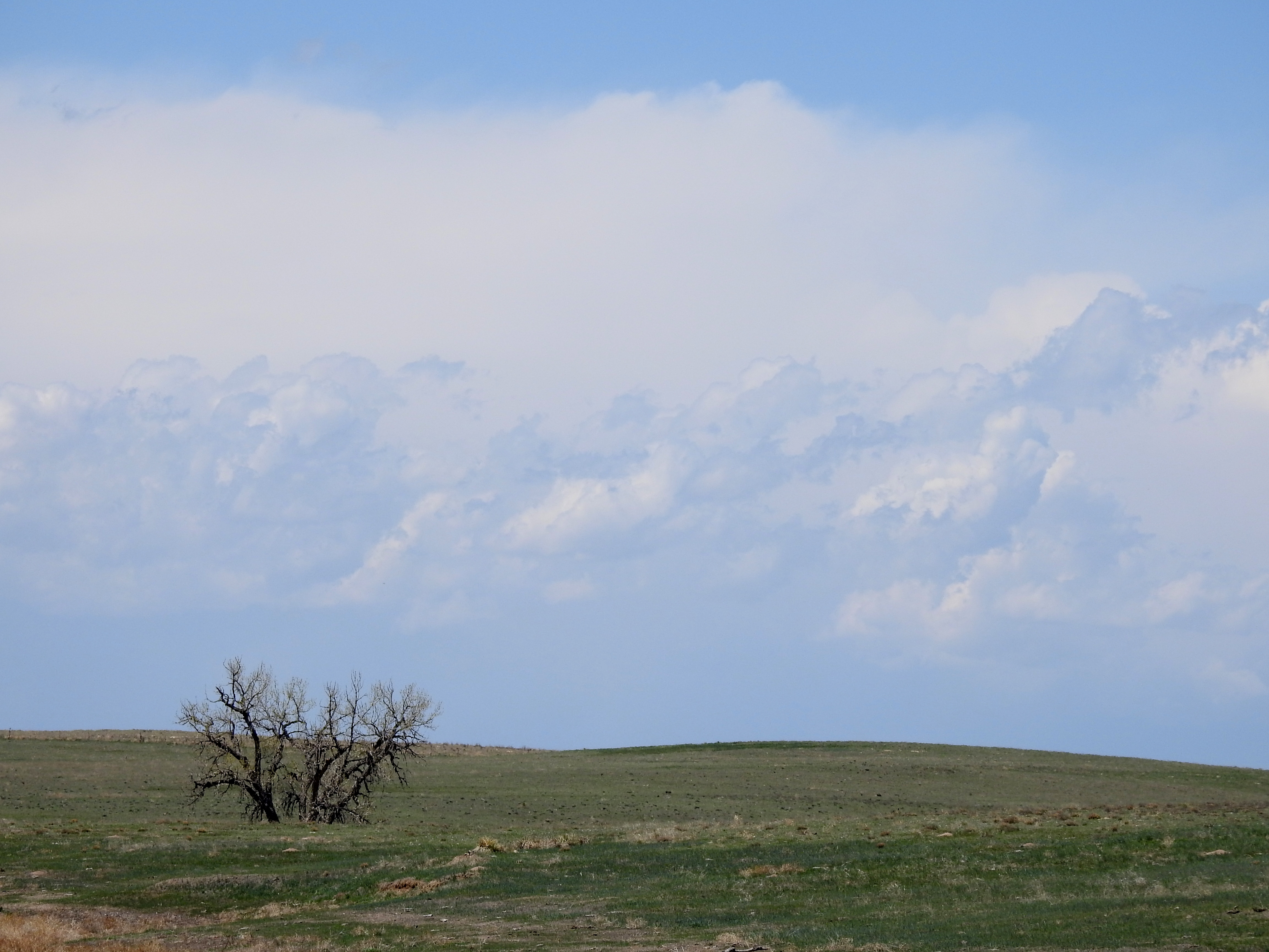Murphy's Reservoir, Pawnee NG, CO