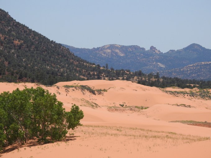Coral Pink Sand Dunes SP, UT