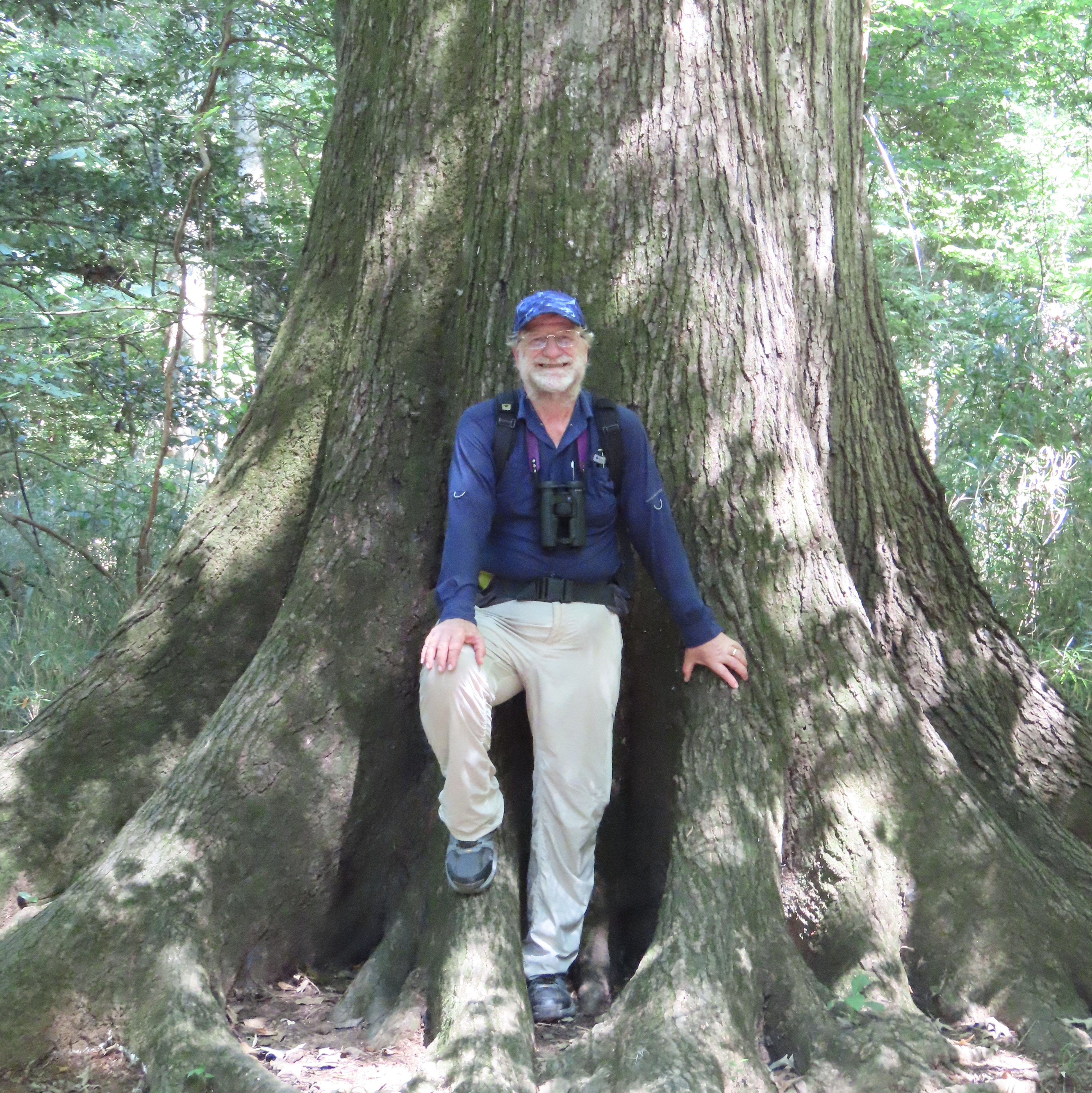 Brian with Quercus pagoda, Weston Lake Trail, Congaree NP, SC